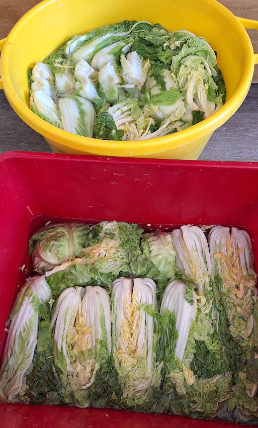 Fermentiran korejski kimči KJ market