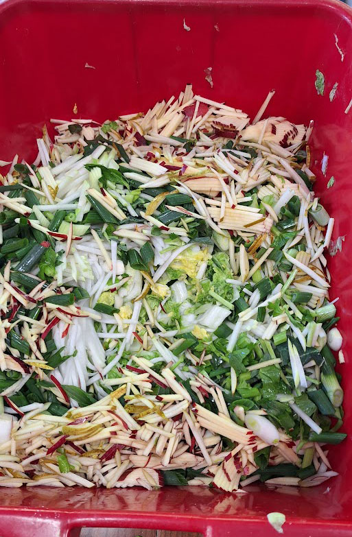 korejski kimči v kozarcu, 2,4 kg